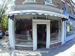 Ricci image