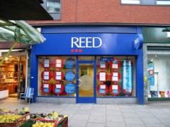 Reed image