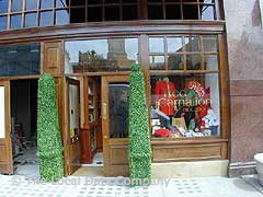 Red Carnation image