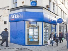 Reed image