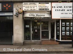 Little Mammy Homecare Services image