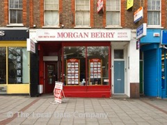Morgan Berry image