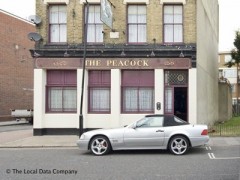 The Peacock image