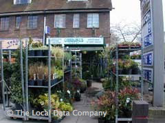 Caroline's Florist image