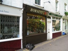 Hornets image