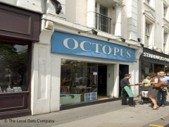 Octopus image