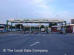 Caseus image