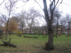InterNexus Centre For Language Studies Ltd image