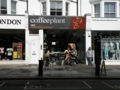 Coffee Plant image