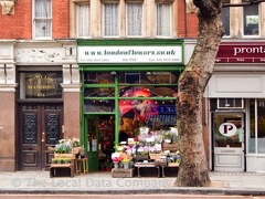 London Flowers image