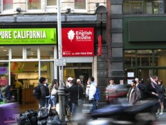 The English Studio Language School image