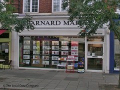 Barnard Marcus image