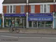 Tropicals & Marines image