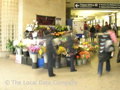 Seasons Flowers image