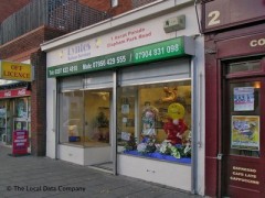 Lynettes Baloon services image