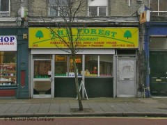 Forest Restaurant image