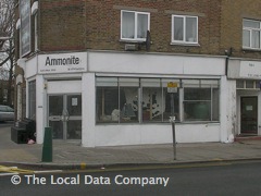 Ammonite image