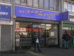 Water Margin image