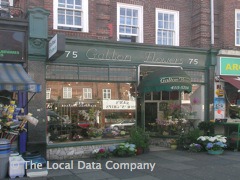 Galton Flowers image