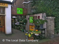 Daph image