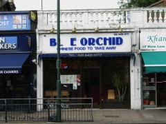 Blue Orchid image