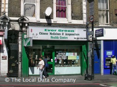 Ever Green image