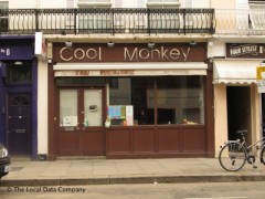Cool Monkey image