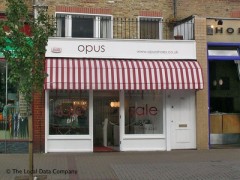 Opus image