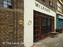 Wildcat's image