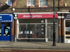 Diane James image