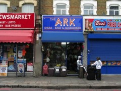 The Ark image