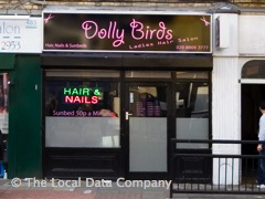 Dolly Birds image