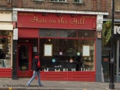 Hair On The Hill image