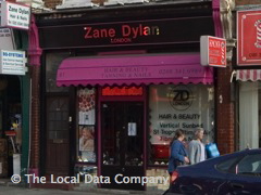 Zane Dylan image