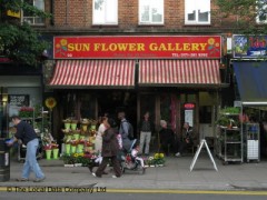 Sun Flower Gallery image