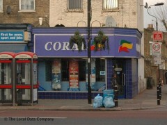 Coral image