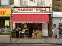 Yaa Asantewa Tropicals image