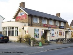 The Beech Tree image