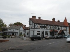 The Swan image