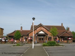 Gipsy Moth image