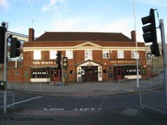 The White Horse image