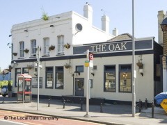 The Oak image