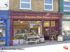 Kingston Wild Flowers image