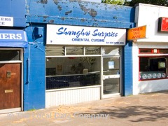 Shanghai Surprise image