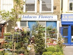 Indacos Flowers image