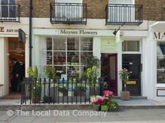 Moyses Flowers image