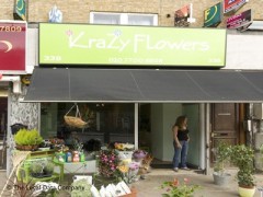 Krazy Flowers image
