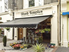 Blush Temples image