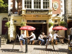The Cricketers image