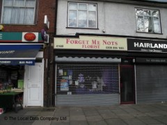 Forget Me Nots image